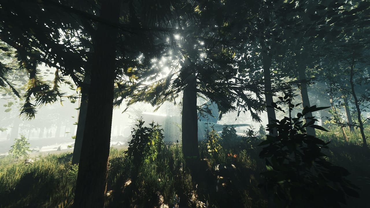 The_Forest1