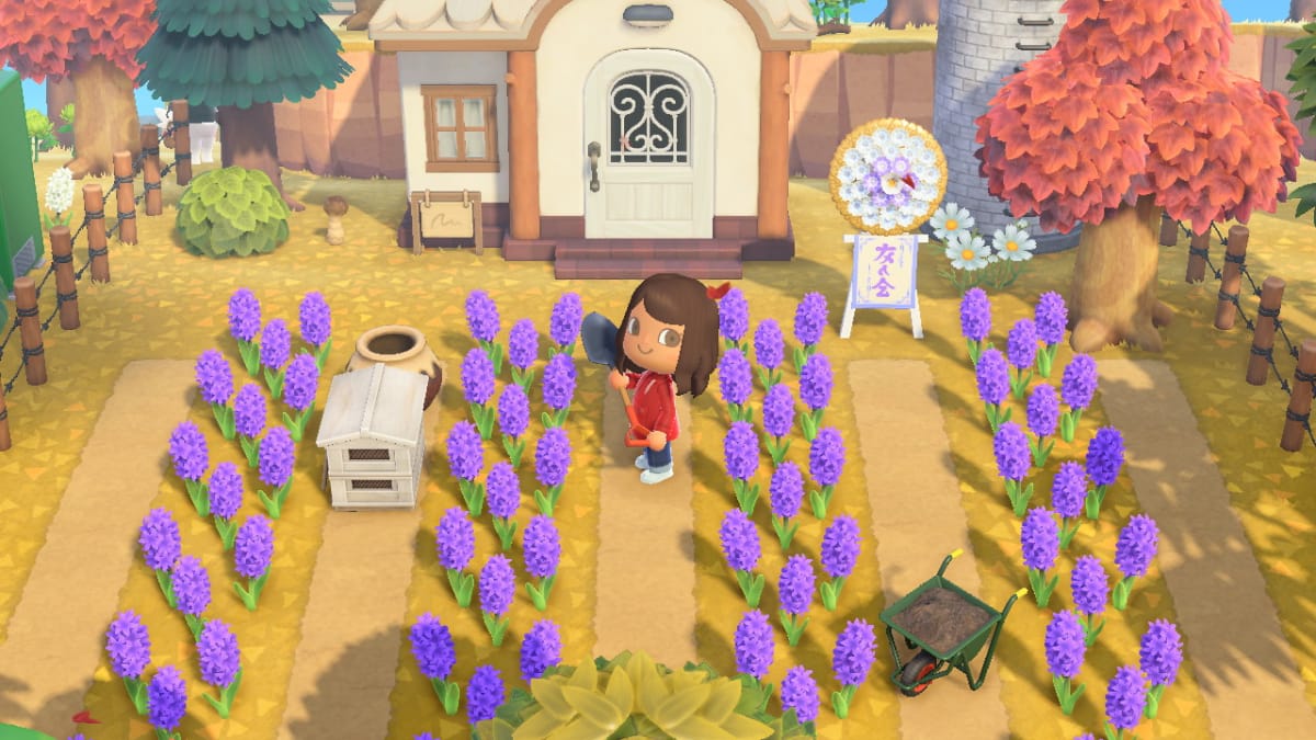 Planting hybrid flowers in Animal Crossing