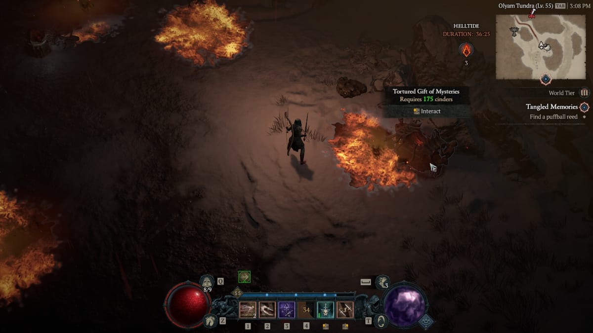 Character standing next to a Tortured Gift of Mysteries in Diablo IV.