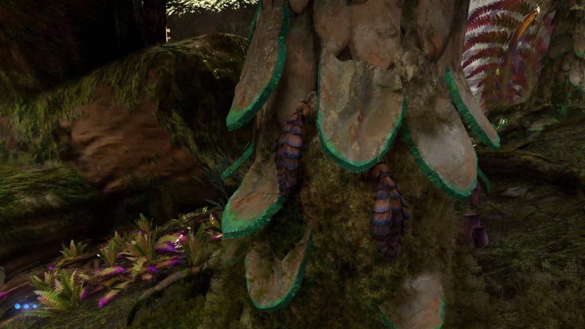 Avatar: Frontiers of Pandora Resources Guide - Forest Pine Cone on a Forest Pine