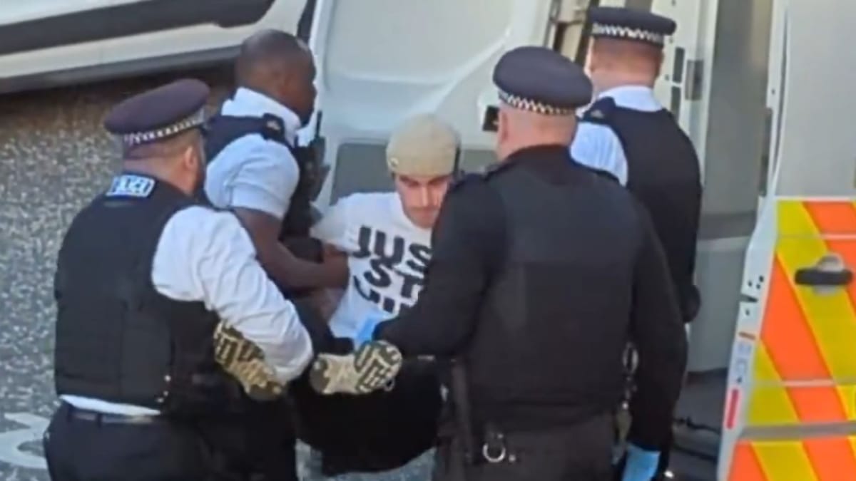 Just Stop Oil Activist Arrested by Metropolitan Police