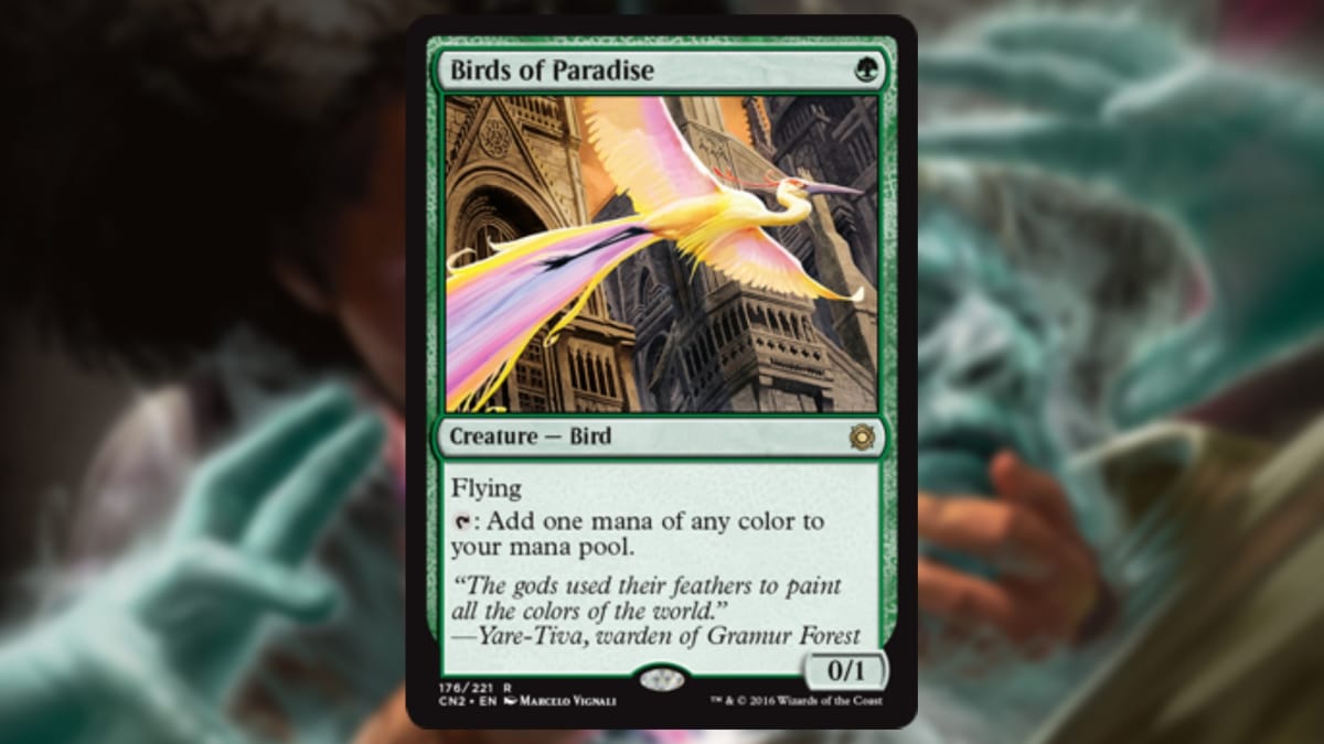 magic the gathering card in green with art depicting a golden bird with colored plumage flying near some fancy buildings