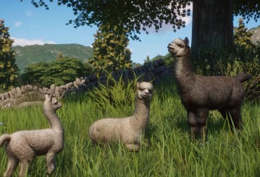 Adorable alpaca lounging in the new Planet Zoo Barnyard Animal Pack DLC