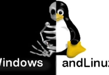 windows_linux