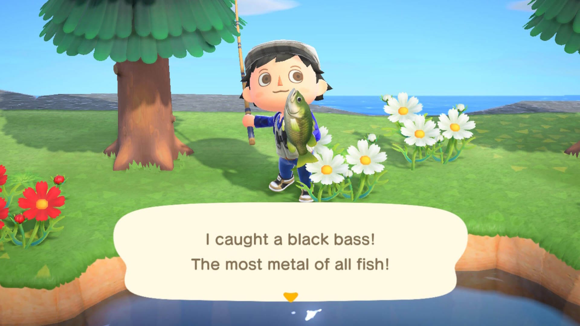 Animal Crossing NH Fishing Black Bass