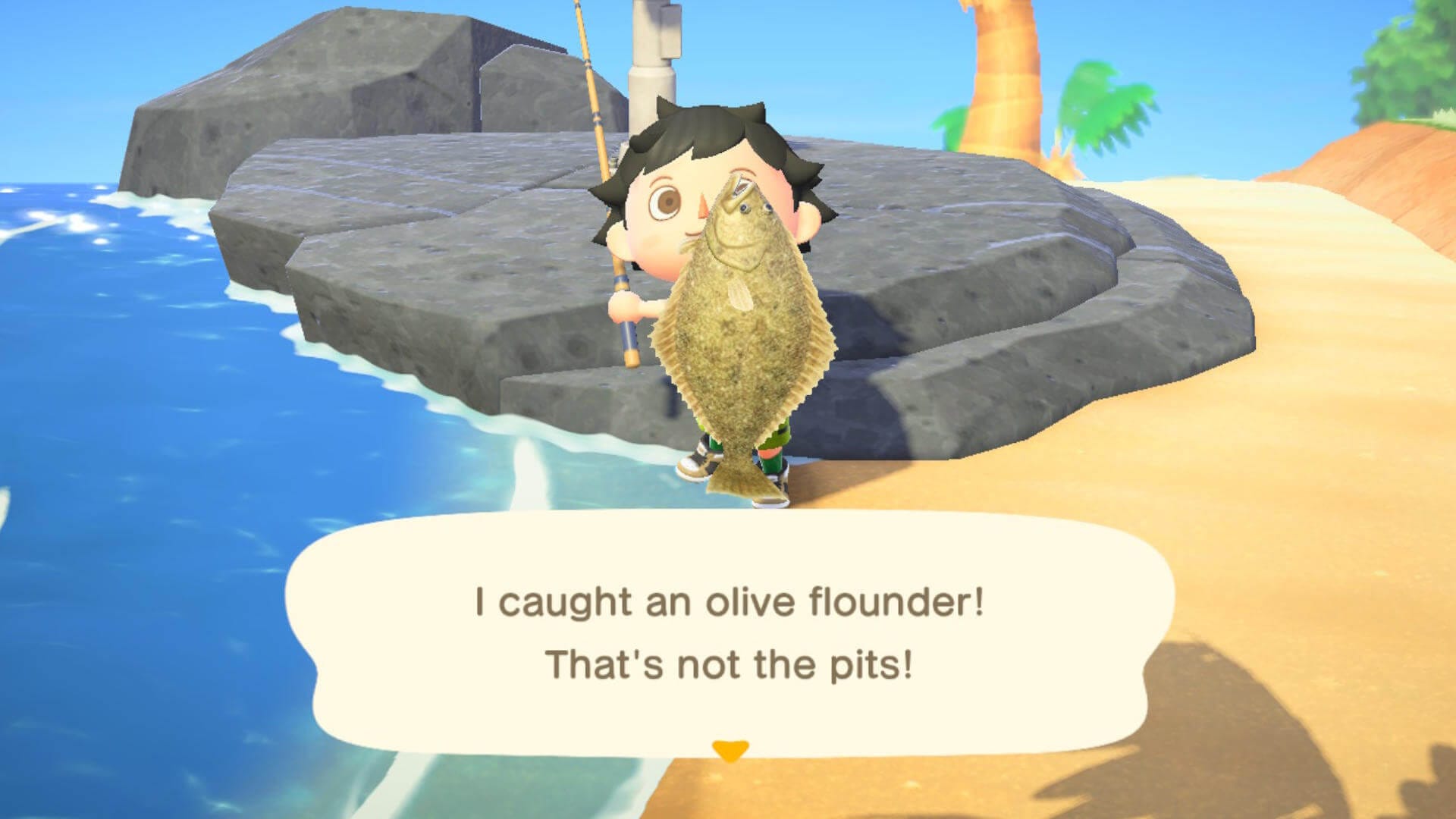 Animal Crossing NH Fishing Olive Flounder