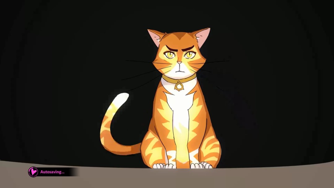 An orange cat named Pocket staring at the screen