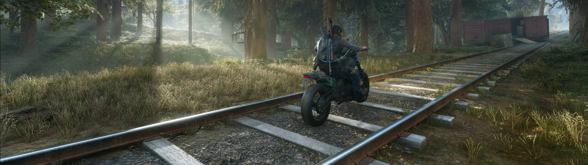Days Gone data collection disabled slice
