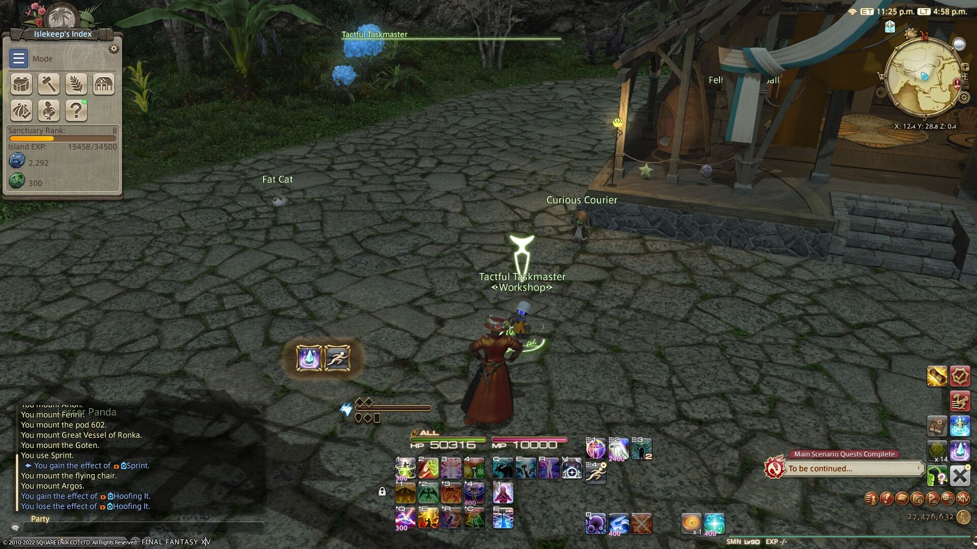 Final Fantasy XIV player character looking at the Tactful Taskmaster NPC in the Island Sanctuary.