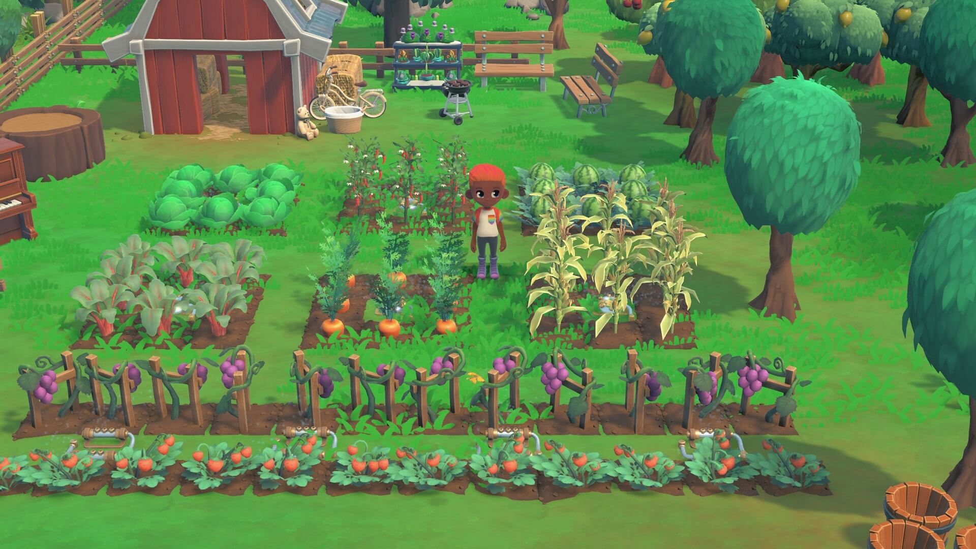 The player standing in the middle of their farm in Hokko Life