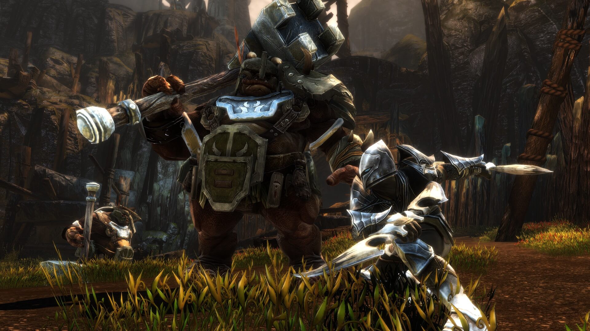 Kingdoms of Amalur: Re-Reckoning, a re-release of the 2012 RPG
