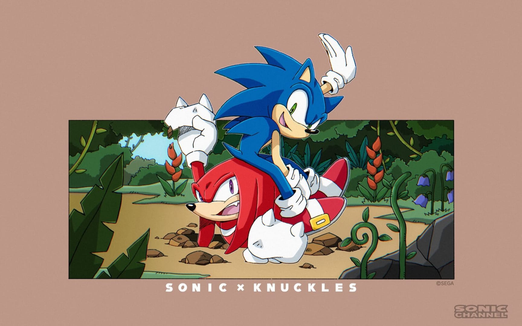 Knuckles ir Sonic tapetai Sonic Channel