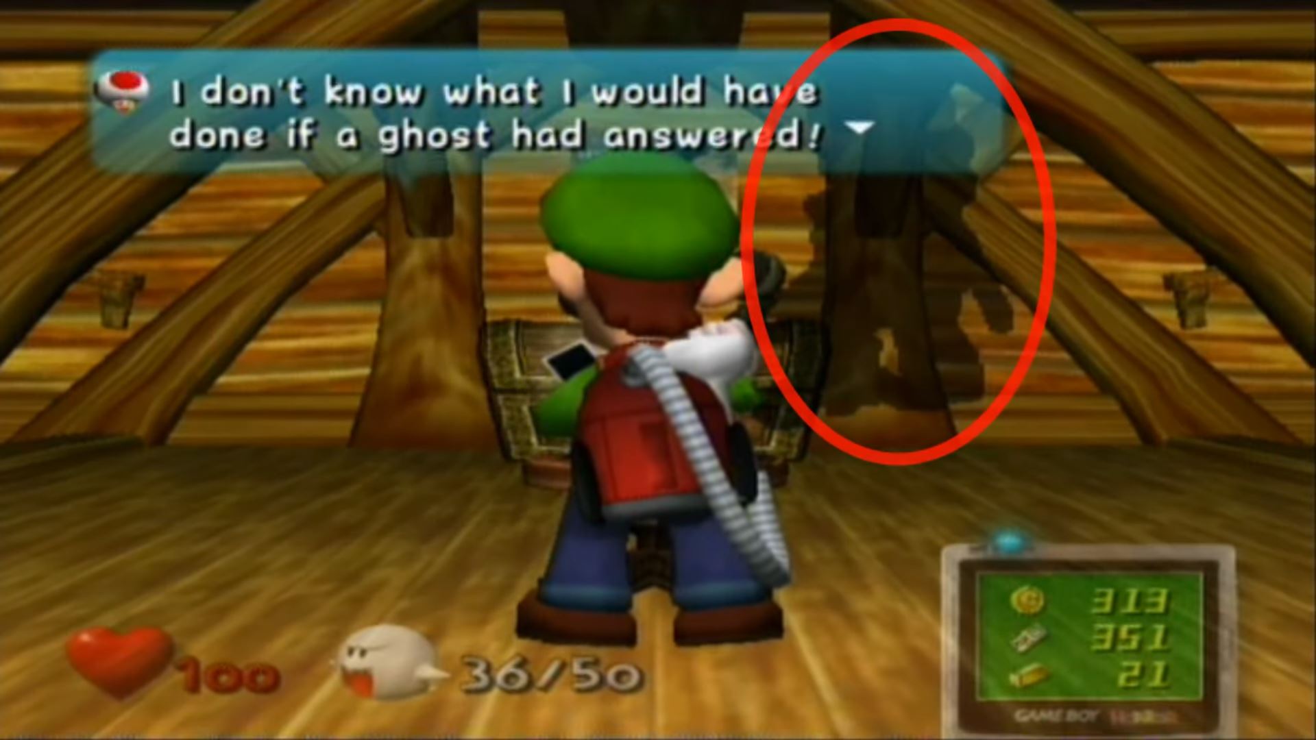 Luigi Shadow in Luigi's Mansion
