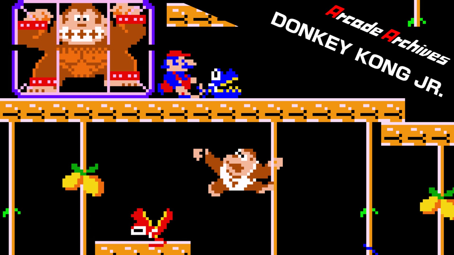 Mario in Donkey Kong JR