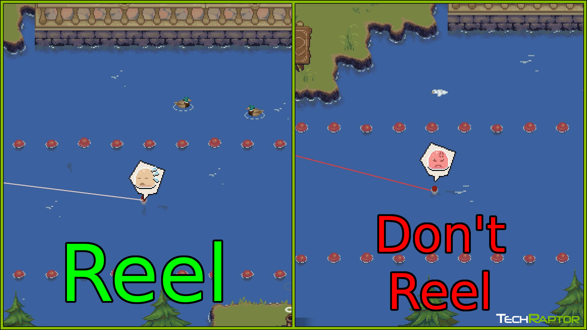Potion Permit Fishing Guide - Reel Don't Reel