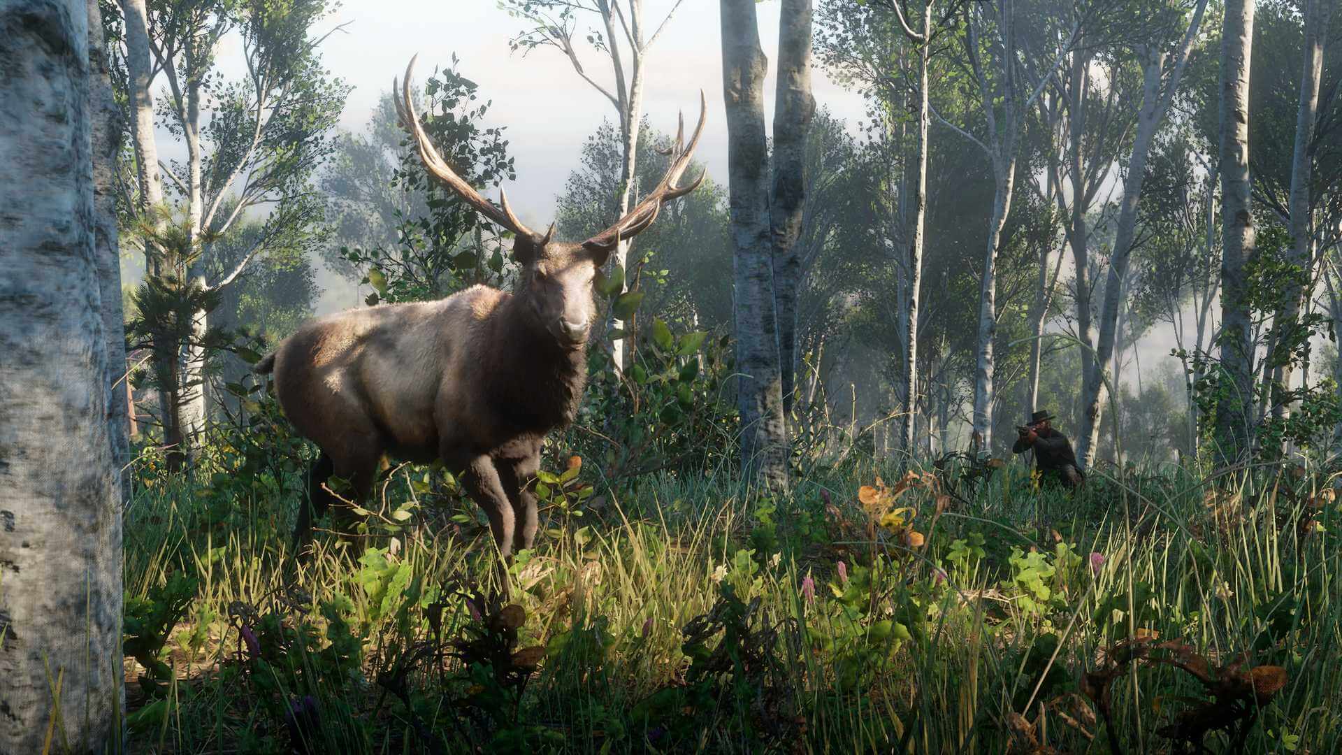 A deer about to be hunted in Red Dead Redemption 2.