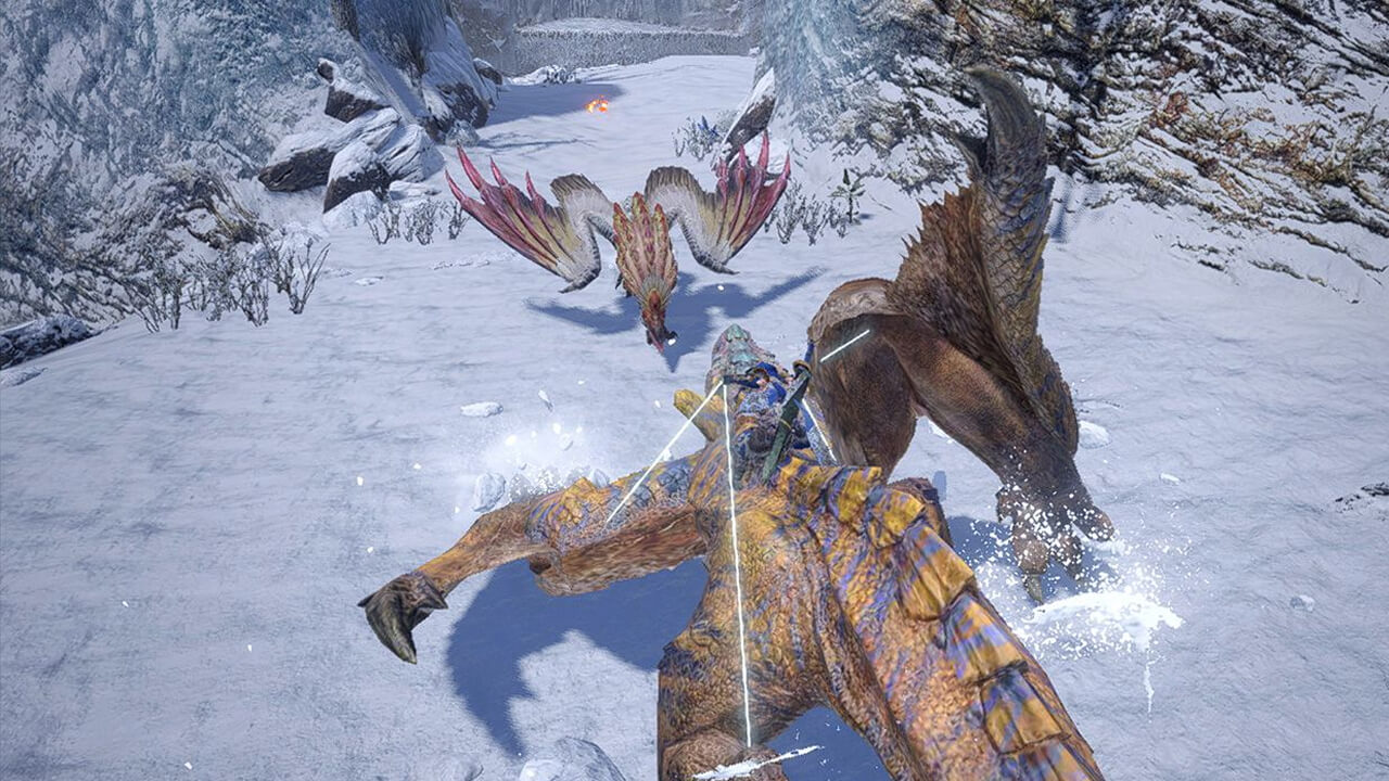 Welcome to Monster Hunter Rodeo!
