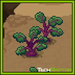 Roots of Pacha Farming Guide - Beets Seed