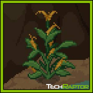 Roots of Pacha Farming Guide - Corn Seed