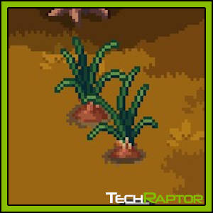 Roots of Pacha Farming Guide - Onion Seed