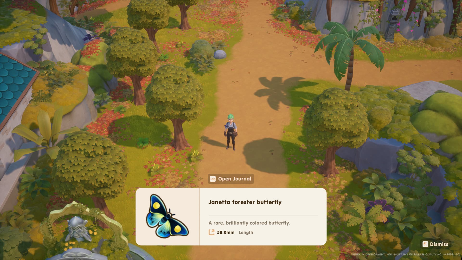 Screenshot of player in Coral Island showing off the Janetta Forester Butterfly with bright Blue and yellow colored wings in the forest, Coral Island Catching Guide