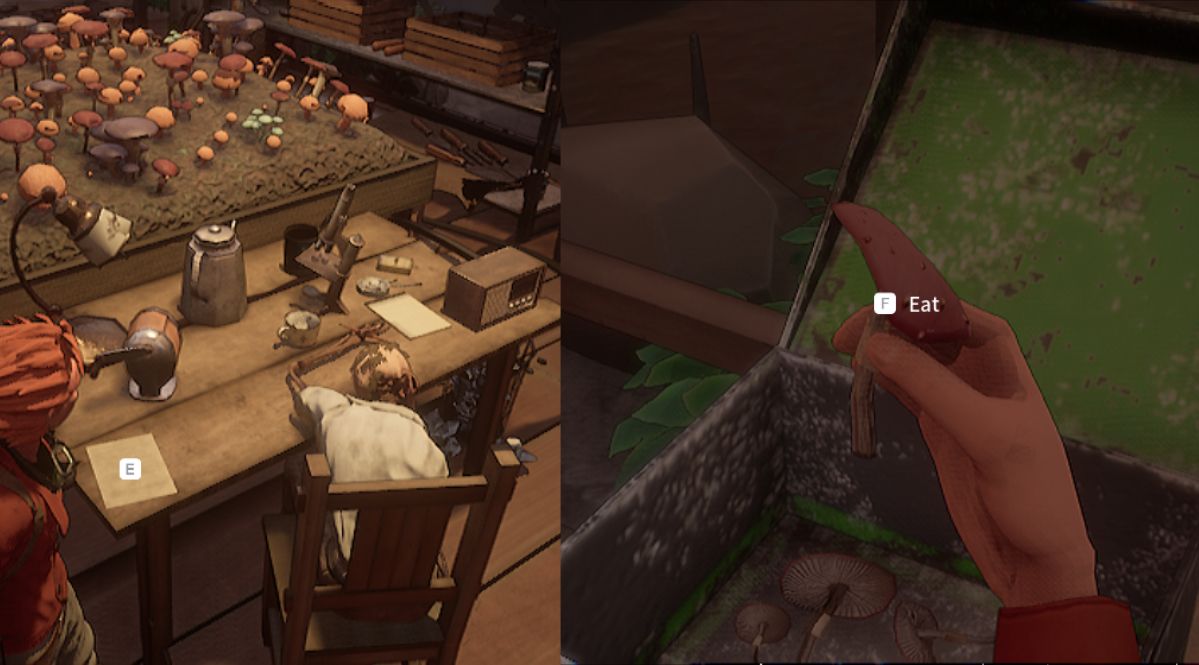 Screenshots of the body where the key is found and the mushroom inside of the lockbox