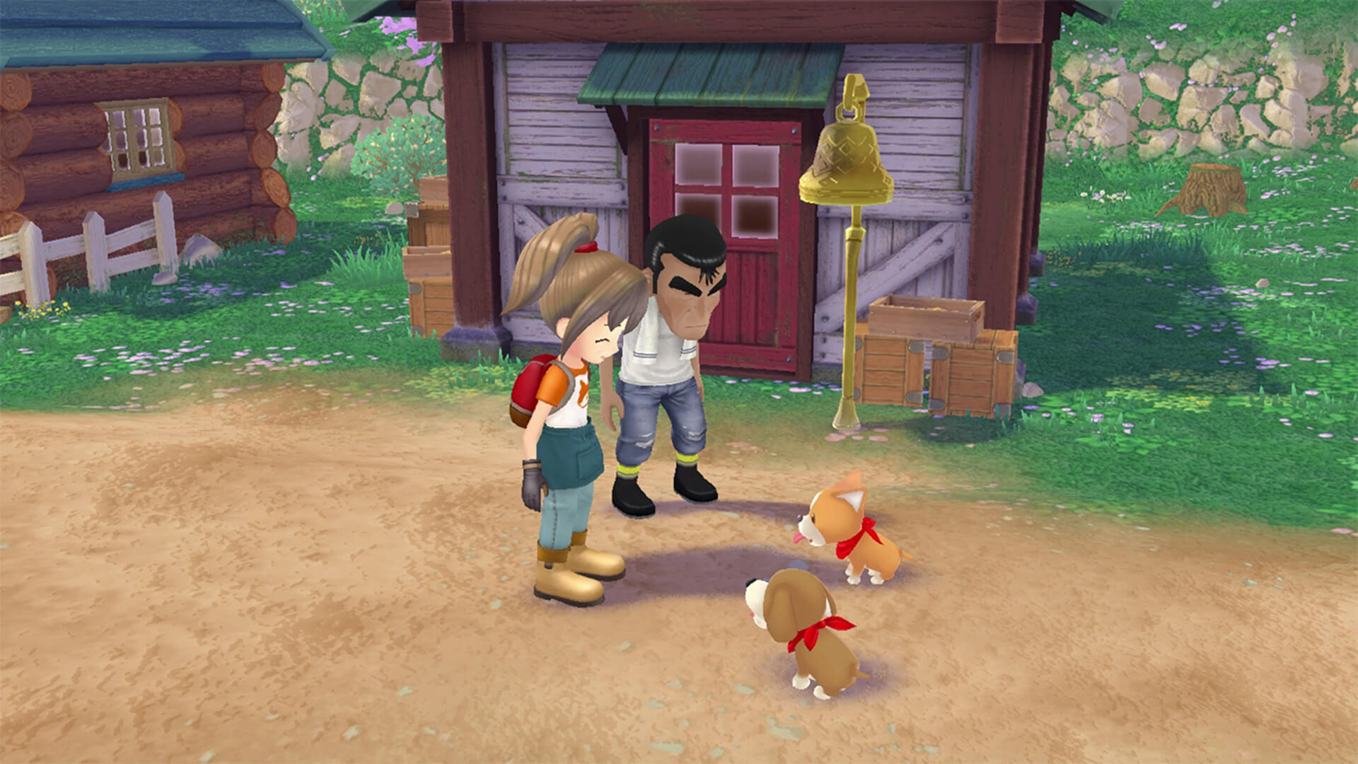 Oyuncu ve başka bir kişi, Story of Seasons: A Wonderful Life'ın Switch için yeniden çevriminde bir çiftlik evinin dışındaki iki köpeğe mutlu bir şekilde bakıyor