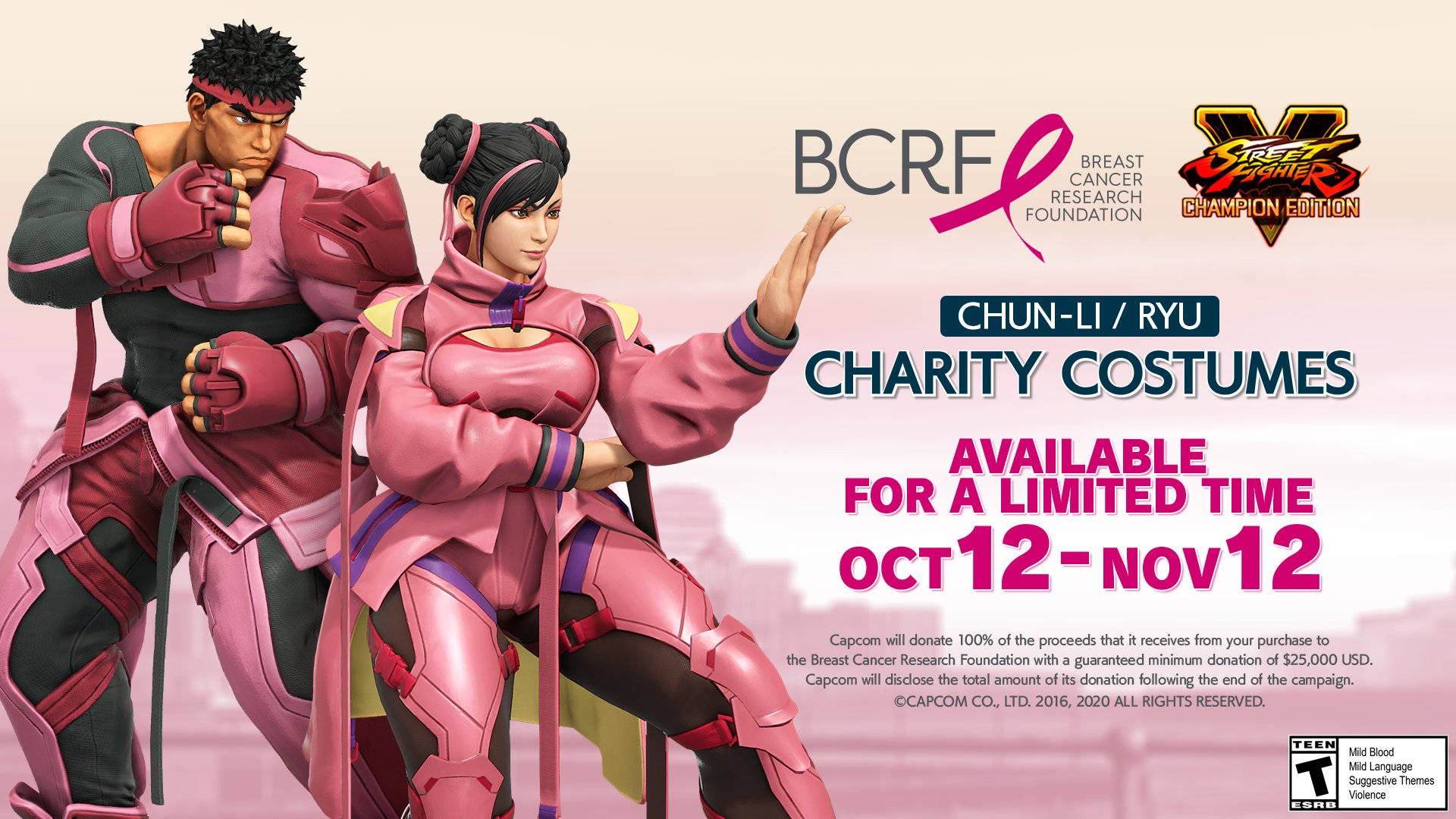Street Fighter 5 Charity Ryu Chun-Li Costume Breast Cancer Research Foundation banner