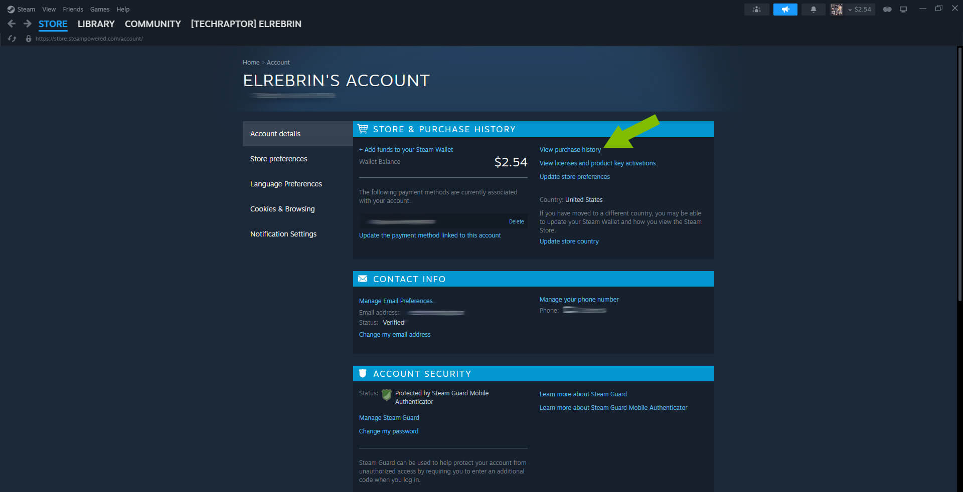 Image of a Steam Account Screen With Important Info Filtered Out