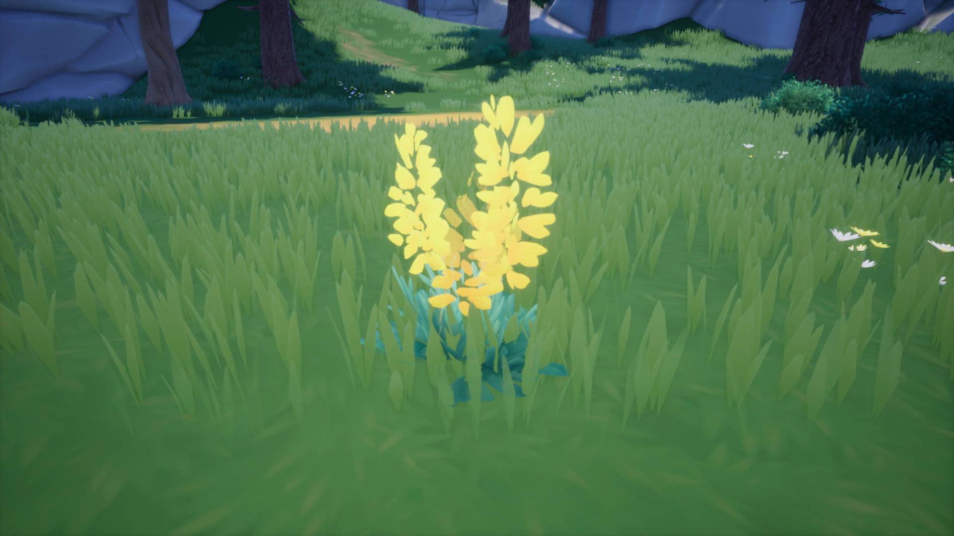 Kwiat forsycji posadzony na trawie w Palia