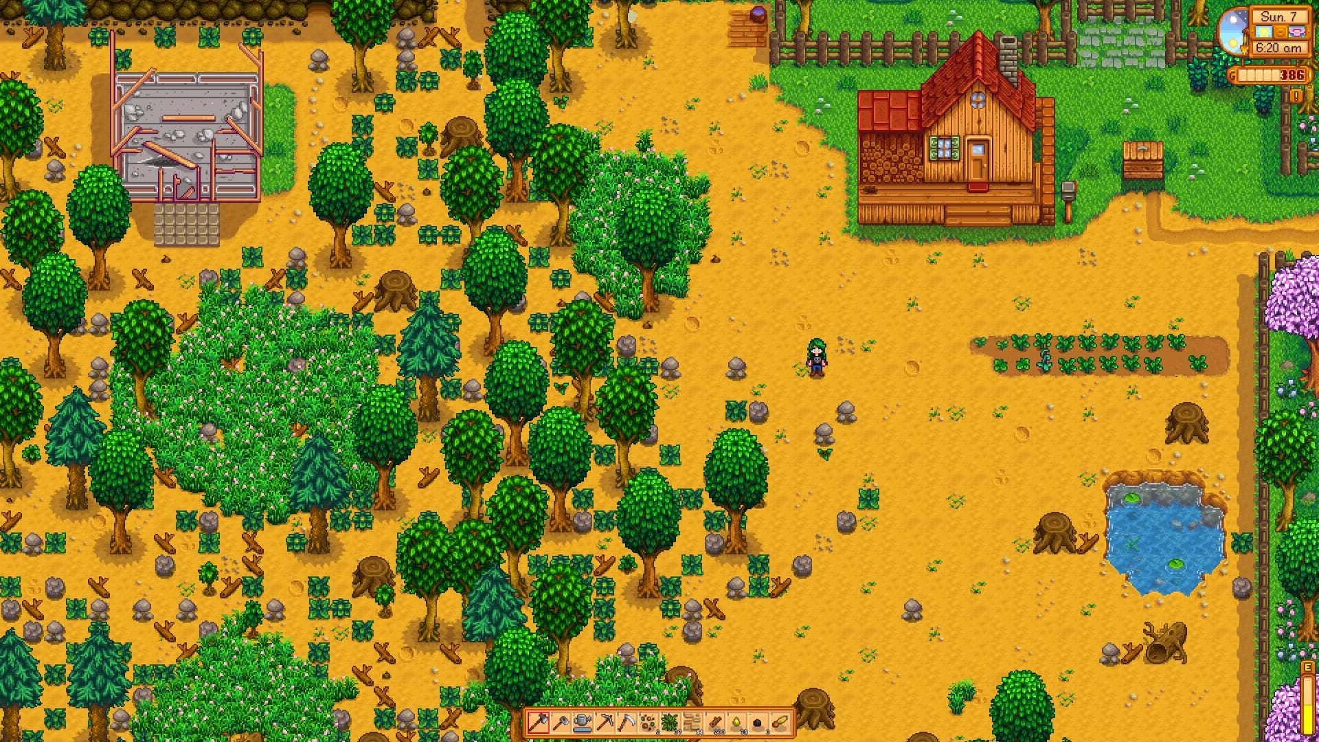 Screenshot of player standing on plot of land in stardew valley