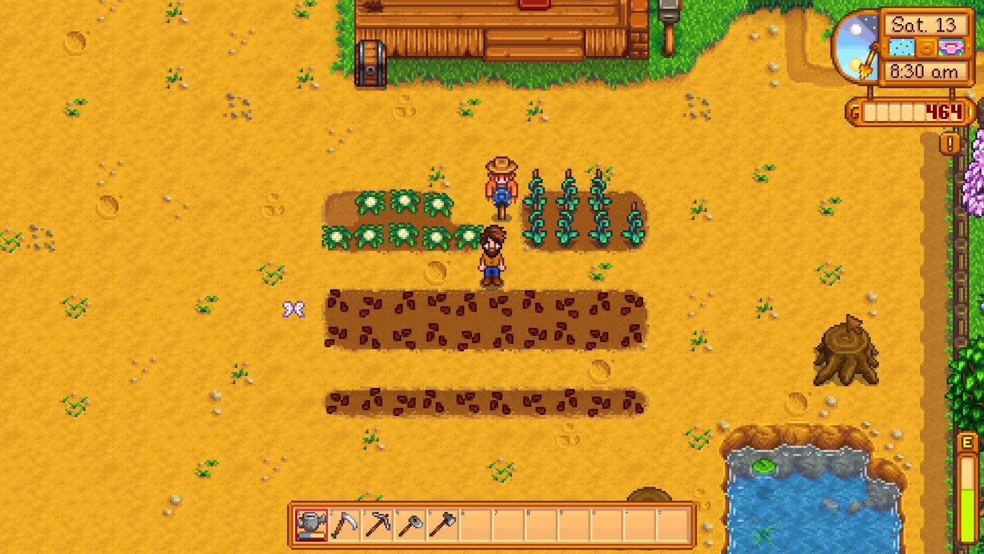 Stardew Valley screenshot showing a pixel-art landscape dotted with growing crops. In the middle of the frame, a yellow-jumper-wearing character stands looking at the viewer underneath their bushy brown hair. 