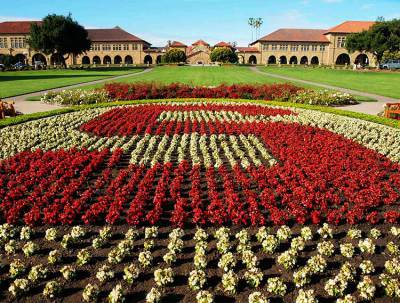 Stanford Flowers