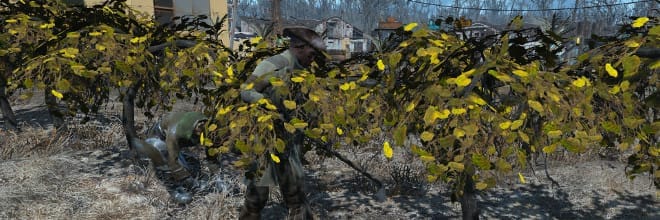 Fallout 4 10 Preston Working Crops