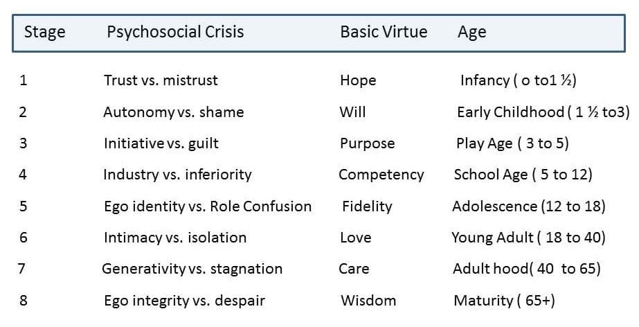The Psychosocial stages proposed by Erik Erikson. 