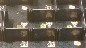Murder Alley, where Explorers go to die. The skulls represent Ambush tiles which trigger a nasty event if players end their turn on it.