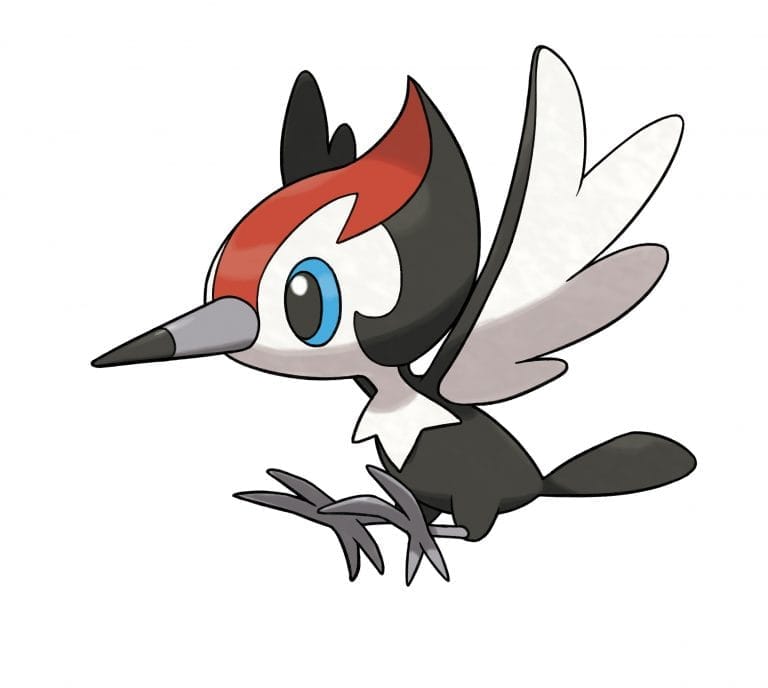 The Flying and Normal-type woodpecker, Pikipek