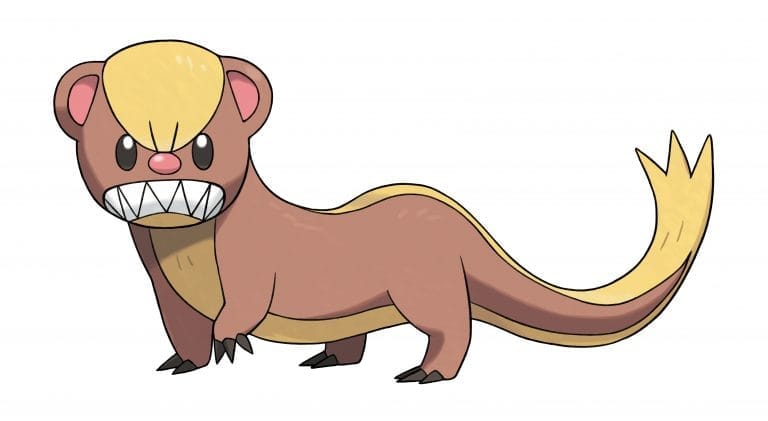 The Normal-type otter-looking Pokemon, Yungoos