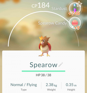 I hatched this Spearow from an Egg and got a hefty bonus of Stardust and Spearow Candy.