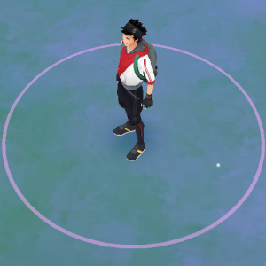 Your avatar is shown on the game map and at Pokémon Gyms. Make sure you like what you pick because you can't change it later!