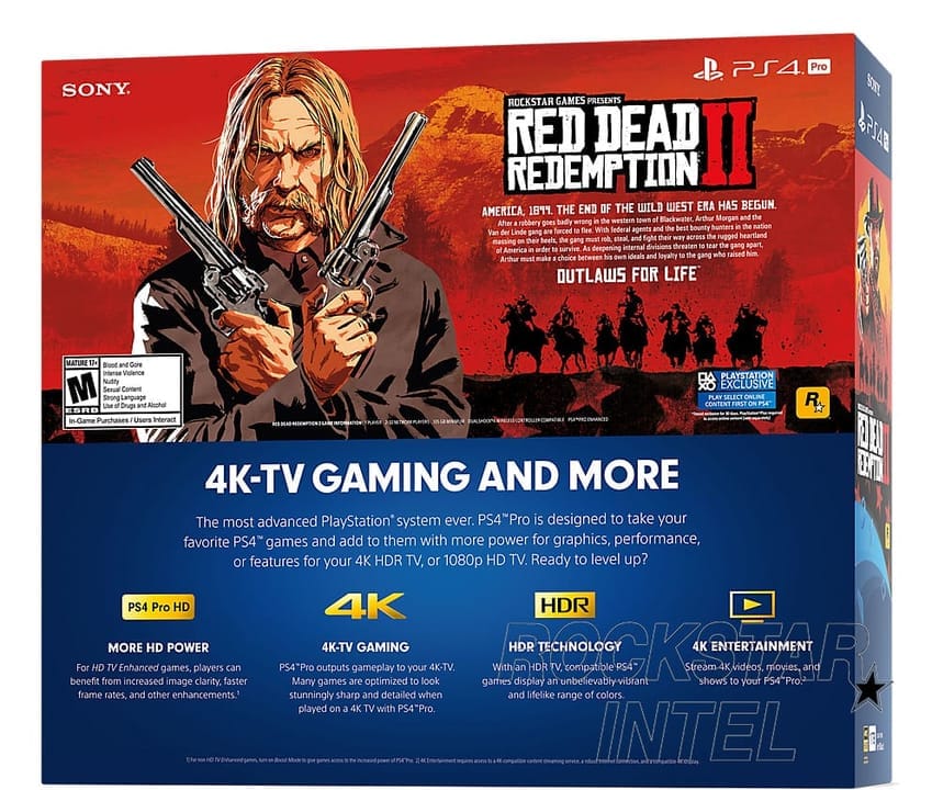 red dead redemption 2 box