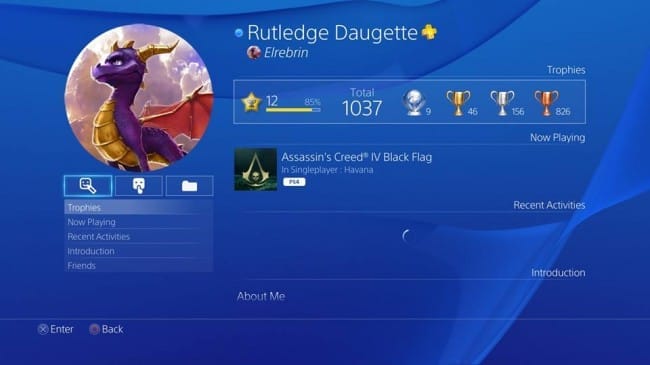 PS4 Profile Screen