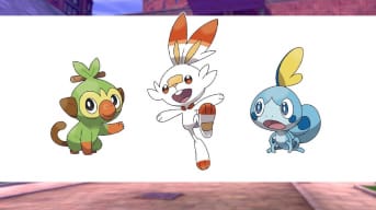 pokemon sword and shield screenshot showing the three starters from the game along a white backdrop. 
