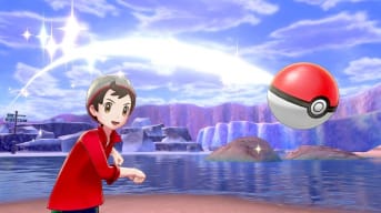Pokemon Sword and Shield screenshot showing a boy in a red jacket throwing a pokeball towards the screen. There's a snow cliff-face behidn him, as well as a small body of water. 