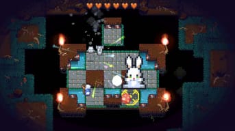 A screenshot of Radical Rabbit Stew