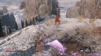 A fan-made mod has made Sekiro co-op and PVP play possible