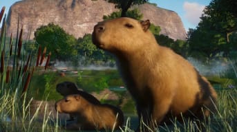 Planet Zoo Update 1.9 Wetlands Animal Pack Release Date cover