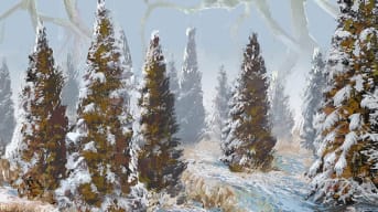 Deciduous trees in snow covered Kaldheim