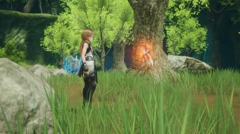 The player character looking at a fairy in an idyllic woodland location in Harvestella