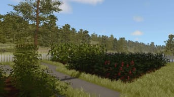 House Flipper Farming Guide - Cover Image Tomatoes Corn and Potatoes Next to a Path